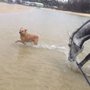 Meet your Posher, Rayleen